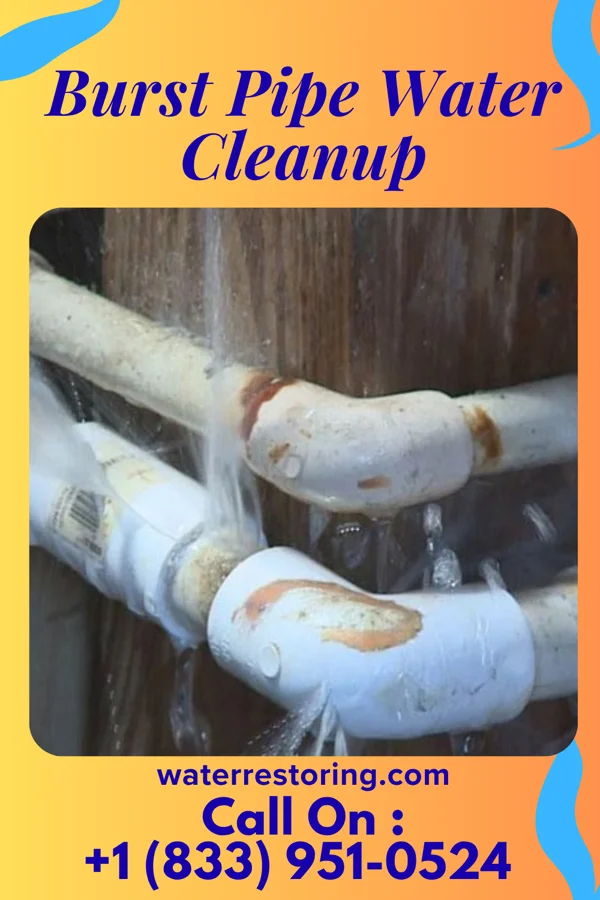 Burst Pipe Water Cleanup in Slippery Rock, PA