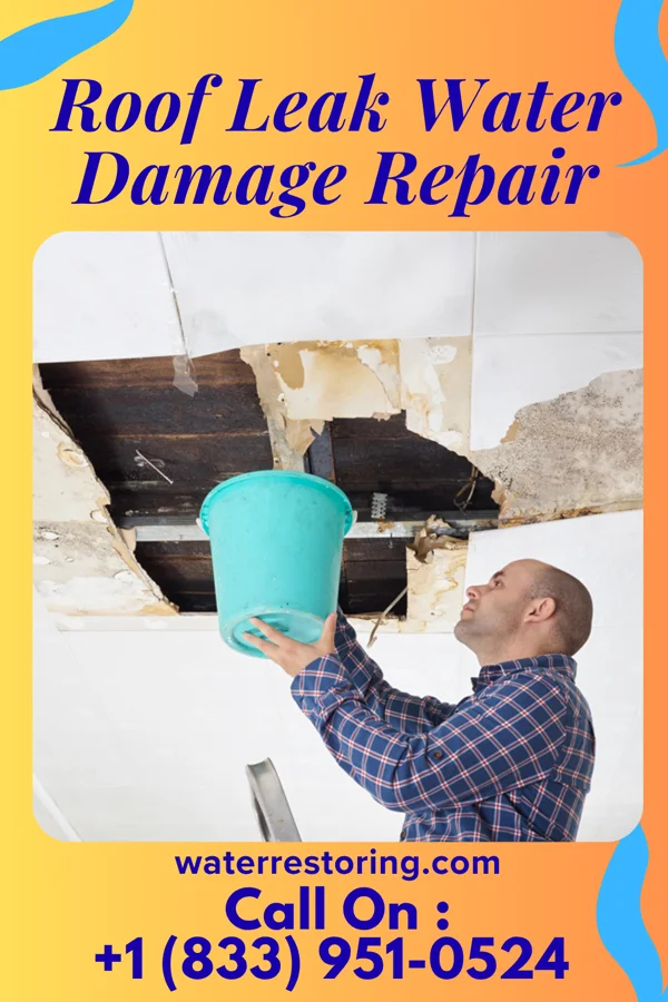 Roof Leak Water Damage Repair in Slippery Rock, PA