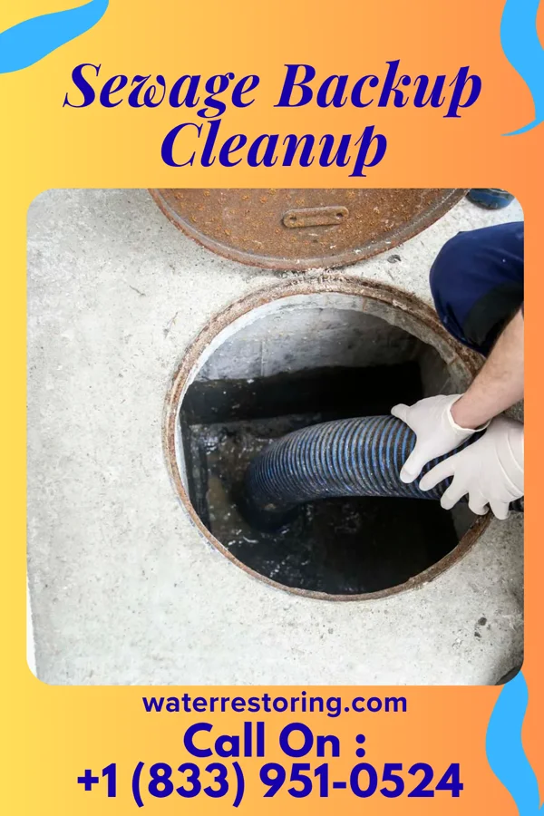 Sewage Backup Cleanup in Slippery Rock, PA