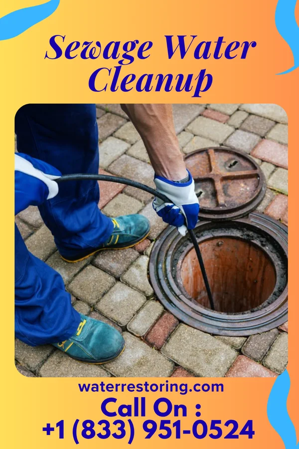 Sewage Water Cleanup in Slippery Rock, PA